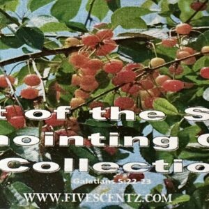 🍇 Fruit of the Spirit Anointing Oil Set – By Five Scentz
